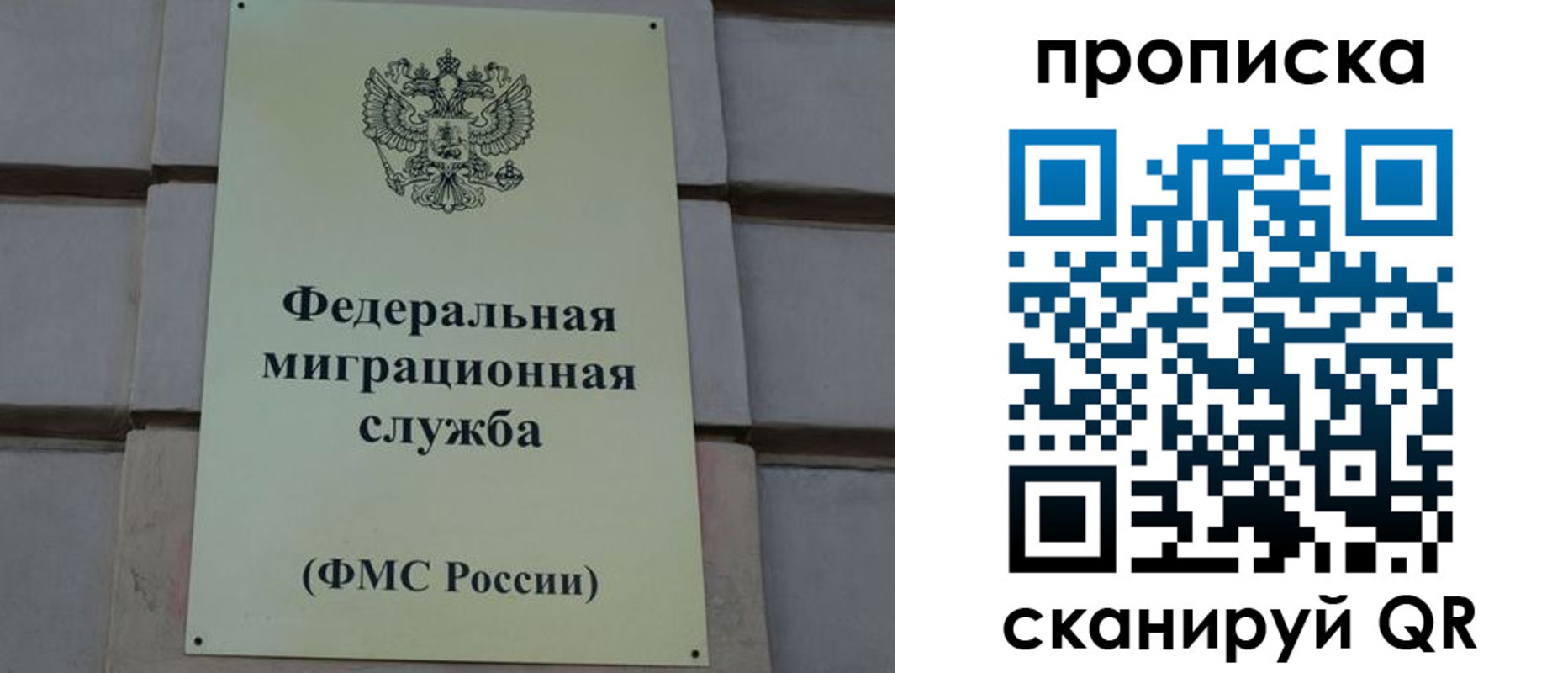 прописка поиск в Новоульяновске